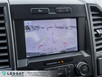 2020 Ford F-150 XL 4WD SuperCrew 5.5' Box