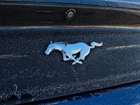 2018 Ford Mustang Ecoboost | 2.3L | 10-SPD AUTO | REARVIEW CAM |17s