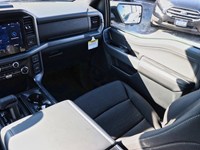 2026 Ford F-150 XLT | 4X4 | 3.5L | 302A | BLK PK PLS | BED UTL