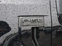 2026 Ford F-150 XLT | 4X4 | HYBRID | 302A | BLK PK | FX4 | BED UTL
