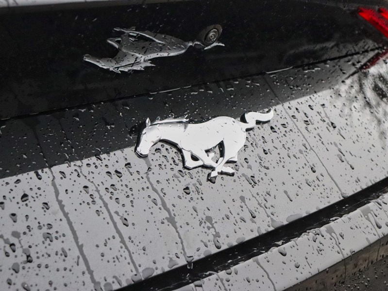 2026 Ford Mustang EcoBoost | 2.3L | 100A | 10-SPD AUTO