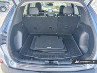 2022 Ford Escape Titanium Hybrid AWD