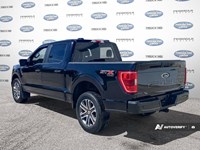 2022 Ford F-150 XL 4WD SuperCrew 5.5' Box