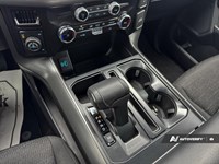 2024 Ford F-150 XLT 4WD SuperCrew 5.5' Box
