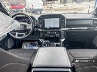 2023 Ford F-150 XLT 4WD SuperCrew 5.5' Box