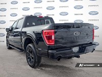 2023 Ford F-150 XLT 4WD SuperCrew 5.5' Box