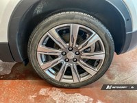 2020 Cadillac XT4 AWD 4dr Premium Luxury