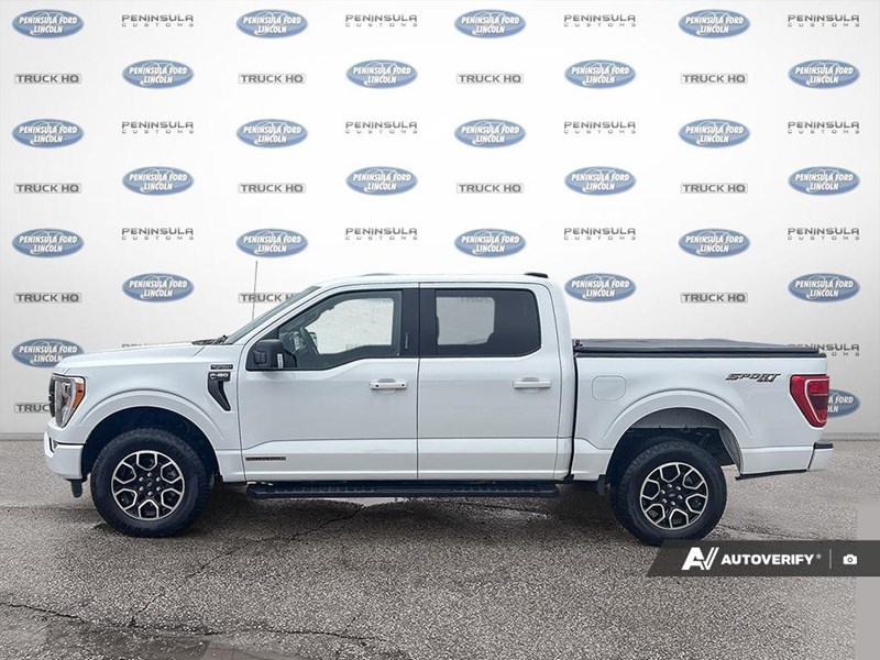 2023 Ford F-150 XLT 4WD SuperCrew 5.5' Box