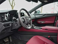 2024 Lexus NX 350h 350h Base