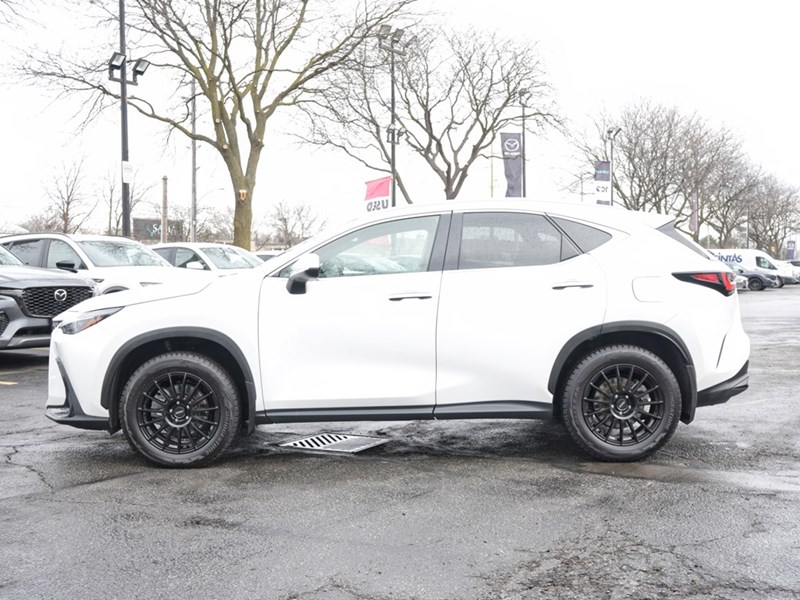 2024 Lexus NX 350h 350h Base