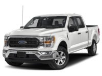 2022 Ford F-150 XLT 4WD SuperCrew 5.5' Box Exterior Shot 1