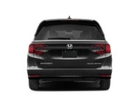 2024 Honda Odyssey Black Edition Auto Exterior Shot 7