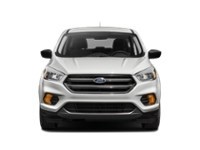 2019 Ford Escape SE FWD Exterior Shot 6
