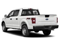 2019 Ford F-150 XL 4WD SuperCrew 5.5' Box Exterior Shot 10