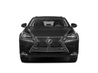 2021 Lexus NX 300 NX 300 AWD Exterior Shot 6