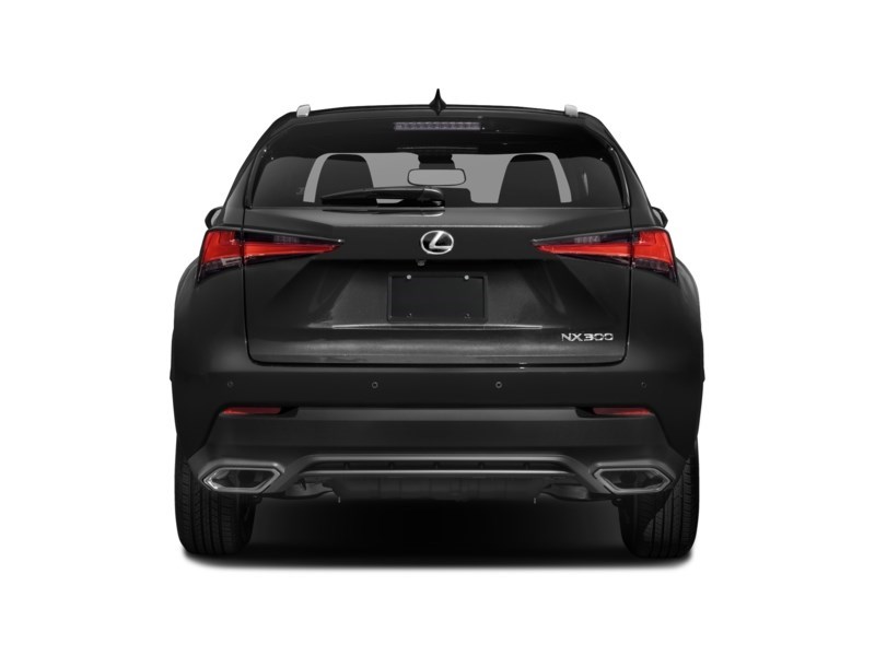 2021 Lexus NX 300 NX 300 AWD Exterior Shot 8
