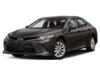 2019 Toyota Camry LE Auto Exterior Shot 1