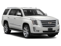2019 Cadillac Escalade 4WD 4dr Luxury Exterior Shot 8