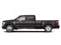2022 Ford Super Duty F-450 DRW Platinum 4WD Crew Cab 8' Box Exterior Shot 2