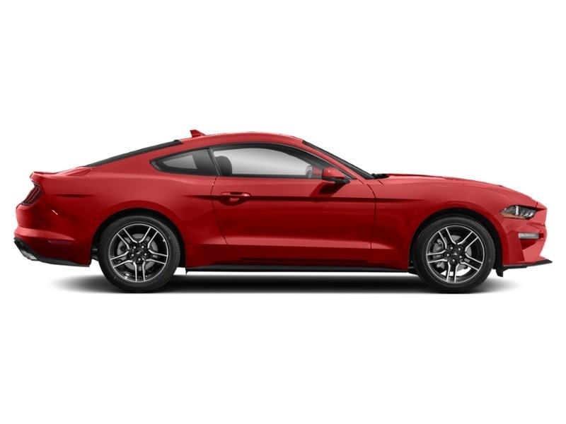 2023 Ford Mustang EcoBoost Premium | 2.3L | 201A | AUTO | NAV | LEAT Exterior Shot 10