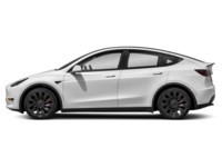 2023 Tesla Model Y RWD Exterior Shot 6