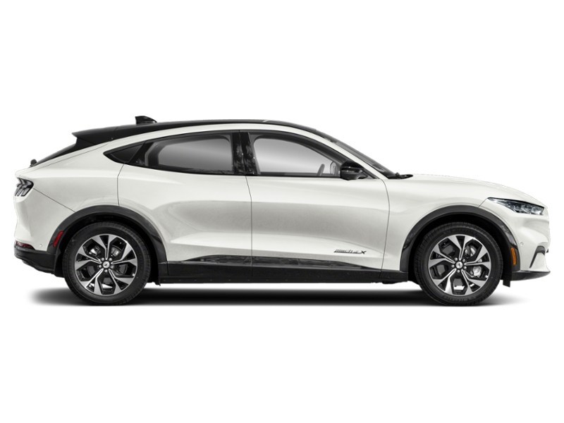 2023 Ford Mustang Mach-E Premium AWD Exterior Shot 10