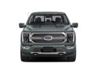 2022 Ford F-150 Limited 4WD SuperCrew 5.5' Box Exterior Shot 5