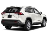 2023 Toyota RAV4 Hybrid Hybrid LE AWD Exterior Shot 2