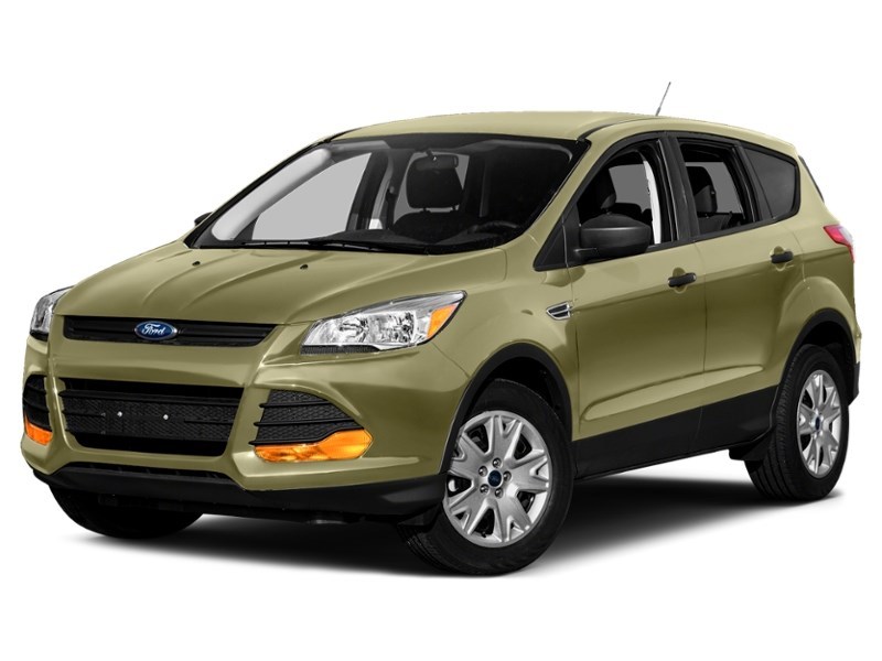 2013 Ford Escape FWD 4dr SE Ginger Ale Metallic  Shot 22