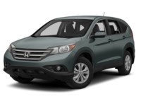 2013 Honda CR-V 2WD 5dr EX Opal Sage Metallic  Shot 13