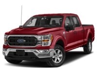 2022 Ford F-150 XLT 4WD SuperCrew 5.5' Box Rapid Red Metallic Tinted Clearcoat  Shot 29