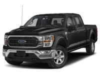 2023 Ford F-150 XLT 4WD SuperCrew 5.5' Box Agate Black Metallic  Shot 60