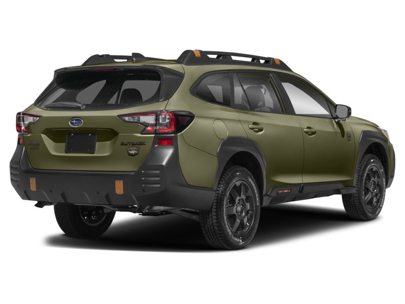 2022 Subaru Outback Wilderness CVT Autumn Green Metallic  Shot 25
