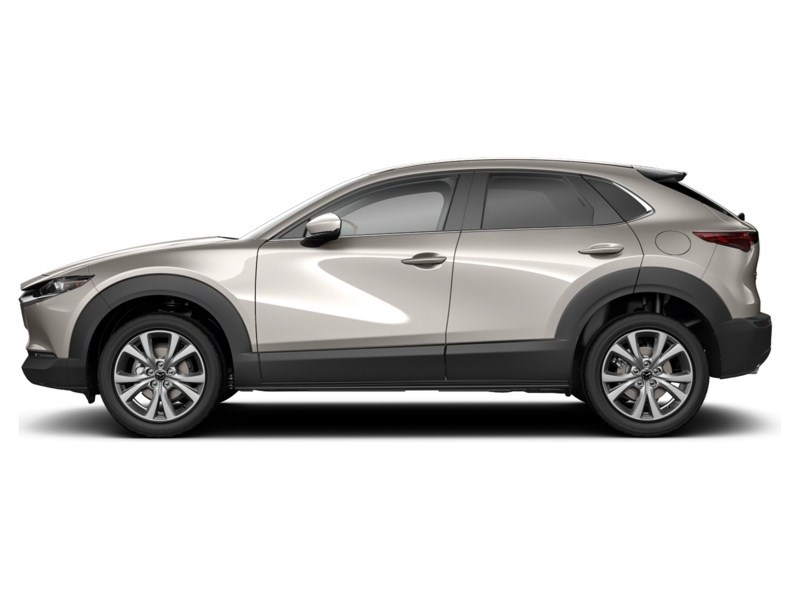2024 Mazda CX-30 GS Platinum Quartz Metallic  Shot 29