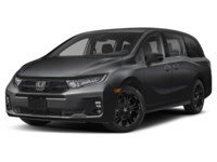 2026 Honda Odyssey Black Edition Auto Crystal Black Pearl  Shot 4