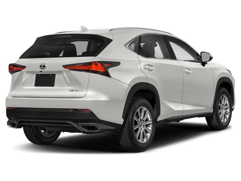 2021 Lexus NX 300 NX 300 AWD Eminent White Pearl  Shot 12