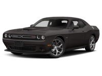2020 Dodge Challenger R/T RWD Granite Crystal Metallic  Shot 19