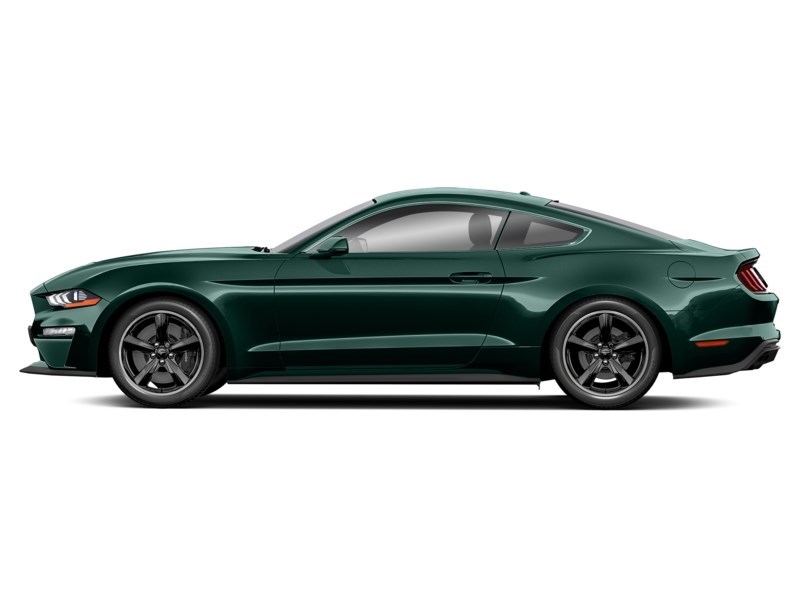 2019 Ford Mustang NO ACCIDENTS | 480 HORSEPOWER | 6 SPEED MANUAL