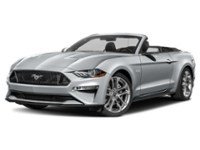 2022 Ford Mustang GT Premium Convertible Iconic Silver Metallic  Shot 19