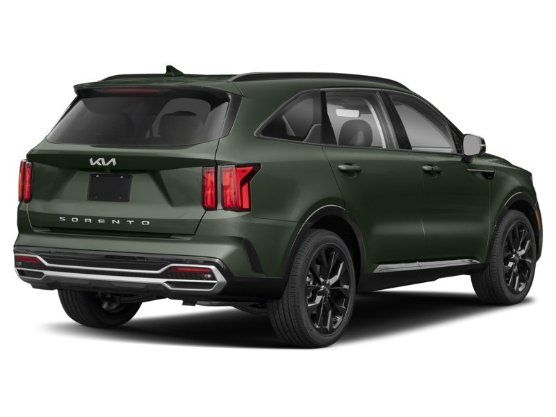 2022 Kia Sorento SX AWD w/Black Leather Aruba Stone Green  Shot 6