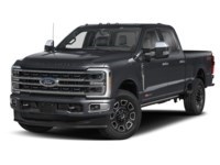 2024 Ford F-250 Platinum 4WD Crew Cab 6.75' Box Agate Black Metallic  Shot 4