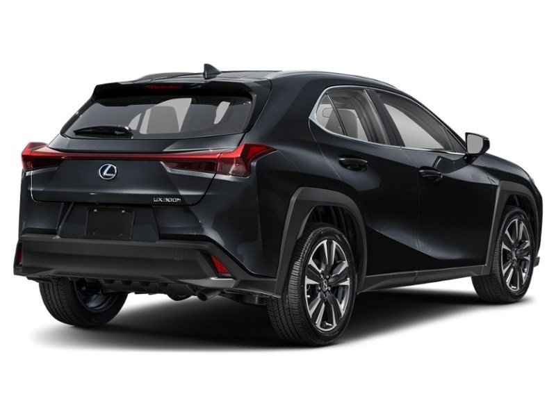 2025 Lexus UX 300h UX 300h CVT Caviar  Shot 6