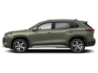 2025 Volkswagen Tiguan Comfortline 4MOTION Avocado Green Pearl  Shot 29